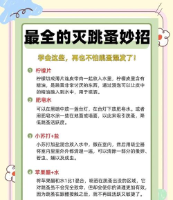 怎么抓跳蚤,快速有效方法,家庭实用技巧 怎么抓跳蚤,快速有效方法,家庭实用技巧