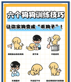 怎么驯服小狗,建立良好关系,让它听话又亲人 怎么驯服小狗,建立良好关系,让它听话又亲人
