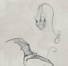 怎么画吸血鬼,掌握关键步骤,画出暗黑风格 怎么画吸血鬼,掌握关键步骤,画出暗黑风格