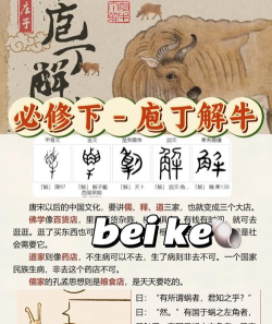 如何赶牛,掌握基本技巧,避免常见错误 如何赶牛,掌握基本技巧,避免常见错误