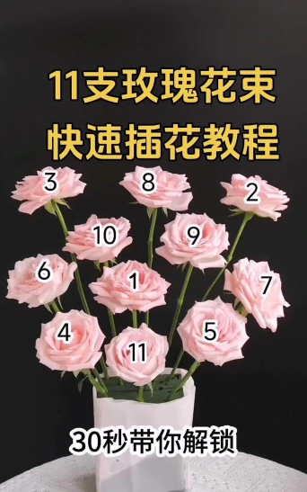 怎么种玫瑰花,掌握关键技巧,轻松养出美丽花朵 怎么种玫瑰花,掌握关键技巧,轻松养出美丽花朵