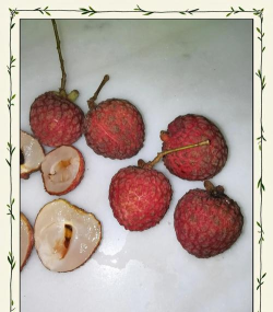如何退荔枝,常见问题解答,实用操作指南 如何退荔枝,常见问题解答,实用操作指南
