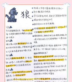狼如何生存,适应环境,繁衍后代 狼如何生存,适应环境,繁衍后代