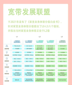 怎么看延迟,网络卡顿原因,快速排查方法 怎么看延迟,网络卡顿原因,快速排查方法