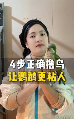 鸟如何上架,快速掌握技巧,轻松完成操作 鸟如何上架,快速掌握技巧,轻松完成操作