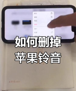 苹果铃声怎么删除,操作步骤详解,常见问题解决 苹果铃声怎么删除,操作步骤详解,常见问题解决