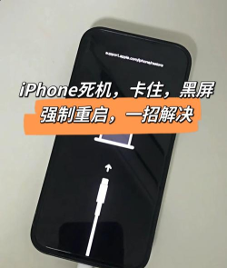 苹果手机突然黑屏打不开怎么办,快速自救方法,避免数据丢失 苹果手机突然黑屏打不开怎么办,快速自救方法,避免数据丢失
