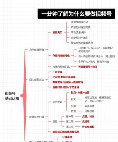 微信视频号怎么申请,操作步骤详解,新手避坑指南 微信视频号怎么申请,操作步骤详解,新手避坑指南