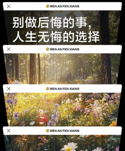 如何不悔,掌握生活选择,减少遗憾发生 如何不悔,掌握生活选择,减少遗憾发生