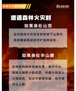 火山怎么打,掌握核心技巧,轻松应对挑战 火山怎么打,掌握核心技巧,轻松应对挑战