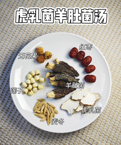 养蘑菇怎么养,掌握关键步骤,轻松收获美味 养蘑菇怎么养,掌握关键步骤,轻松收获美味