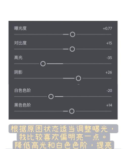 相机亮度怎么调,掌握关键技巧,轻松拍出好照片 相机亮度怎么调,掌握关键技巧,轻松拍出好照片