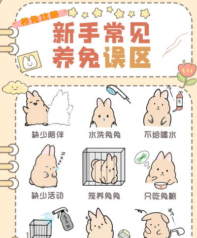 兔子怎么驯服,建立信任关系,掌握正确方法 兔子怎么驯服,建立信任关系,掌握正确方法