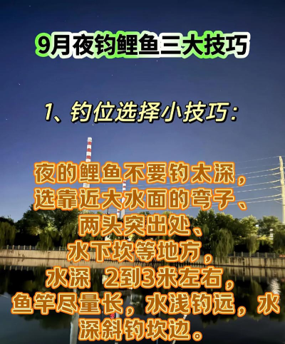如何钓鲤鱼野钓,掌握核心技巧,提升上鱼率 如何钓鲤鱼野钓,掌握核心技巧,提升上鱼率