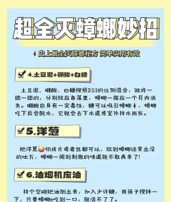 怎么打蟑螂,快速有效方法,家庭实用技巧 怎么打蟑螂,快速有效方法,家庭实用技巧