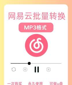 网易云音乐怎么下载mp3格式,解决常见问题,分享实用方法 网易云音乐怎么下载mp3格式,解决常见问题,分享实用方法