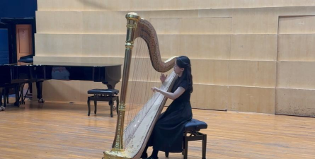 竖琴怎么弹,掌握基本指法,享受音乐之美 竖琴怎么弹,掌握基本指法,享受音乐之美