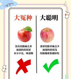 怎么样的果实,挑选方法,口感判断 怎么样的果实,挑选方法,口感判断