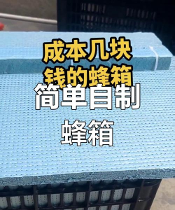 蜜蜂箱怎么做,新手入门指南,轻松上手不踩坑 蜜蜂箱怎么做,新手入门指南,轻松上手不踩坑