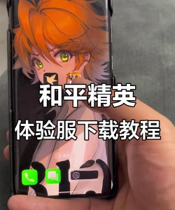 和平精英电脑版怎么下载,安装步骤详解,常见问题解决 和平精英电脑版怎么下载,安装步骤详解,常见问题解决