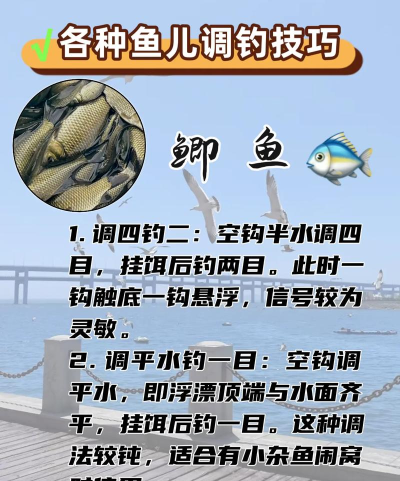 鱼不咬钩怎么办,找准原因,调整策略 鱼不咬钩怎么办,找准原因,调整策略