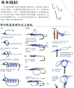 鱼线怎么做,选材与步骤,新手也能上手 鱼线怎么做,选材与步骤,新手也能上手