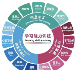 鲁班如何发育,快速提升经济,掌握核心输出 鲁班如何发育,快速提升经济,掌握核心输出