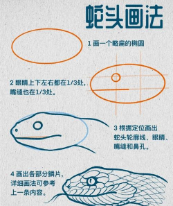 大蛇怎么画,掌握关键步骤,画出逼真效果 大蛇怎么画,掌握关键步骤,画出逼真效果