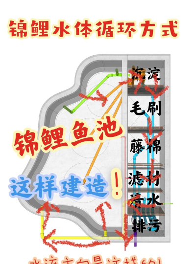 鱼塘怎么建,选址很关键,材料要选好 鱼塘怎么建,选址很关键,材料要选好