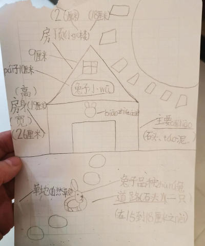 兔子窝怎么做,材料选择,搭建步骤 兔子窝怎么做,材料选择,搭建步骤