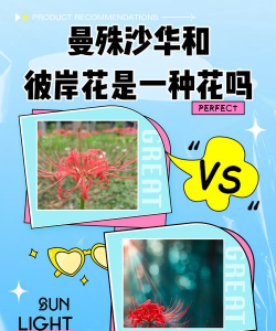 彼岸花怎么克制,常见问题解析,实用方法分享 彼岸花怎么克制,常见问题解析,实用方法分享