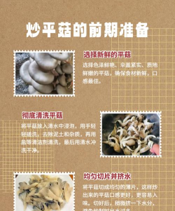 平菇怎么种,掌握关键步骤,轻松收获美味 平菇怎么种,掌握关键步骤,轻松收获美味