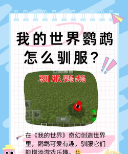 我的世界鹦鹉怎么驯服,快速上手技巧,新手必看指南 我的世界鹦鹉怎么驯服,快速上手技巧,新手必看指南