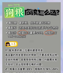 如何带狗粮,选对方法,狗狗更爱吃 如何带狗粮,选对方法,狗狗更爱吃