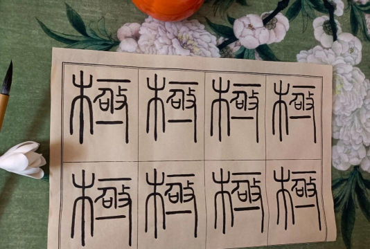 极的繁体字怎么写,书写要点,常见误区 极的繁体字怎么写,书写要点,常见误区