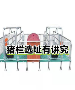 如何建猪圈,选址很关键,材料要选好 如何建猪圈,选址很关键,材料要选好