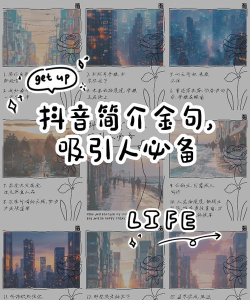 抖音怎么翻译,快速掌握方法,轻松看懂内容 抖音怎么翻译,快速掌握方法,轻松看懂内容