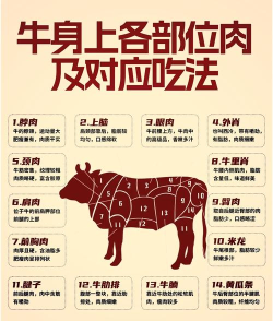 生牛肉怎么吃,安全处理要点,常见吃法推荐 生牛肉怎么吃,安全处理要点,常见吃法推荐
