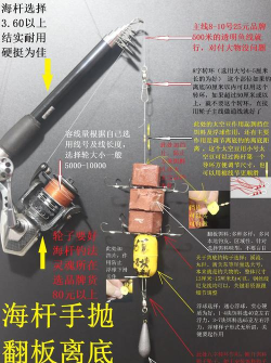 海边钓鱼,新手入门,实用技巧分享 海边钓鱼,新手入门,实用技巧分享
