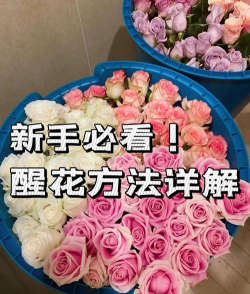 如何刷鲜花,提升账号活跃度,增加社交互动 如何刷鲜花,提升账号活跃度,增加社交互动
