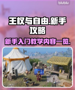 王权怎么玩,新手入门指南,快速上手技巧 王权怎么玩,新手入门指南,快速上手技巧