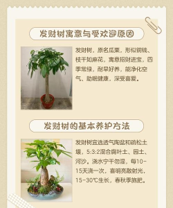 摇钱树如何种,选对品种,掌握技巧 摇钱树如何种,选对品种,掌握技巧