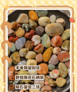 如何找石头,野外寻石技巧,实用方法分享 如何找石头,野外寻石技巧,实用方法分享