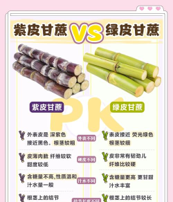 甘蔗如何种,选对品种,掌握关键步骤 甘蔗如何种,选对品种,掌握关键步骤