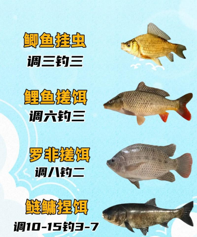 野生鲤鱼怎么钓,掌握关键技巧,提升上鱼效率 野生鲤鱼怎么钓,掌握关键技巧,提升上鱼效率