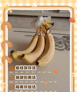 如何摘香蕉,避免浪费,掌握正确方法 如何摘香蕉,避免浪费,掌握正确方法