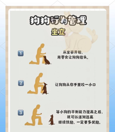 宠物如何合体,理解核心机制,掌握正确方法 宠物如何合体,理解核心机制,掌握正确方法
