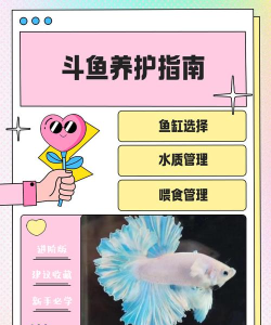 斗鱼怎么斗,观赏鱼饲养,常见问题解答 斗鱼怎么斗,观赏鱼饲养,常见问题解答