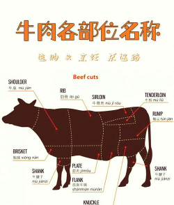 牛怎么杀,屠宰步骤详解,新手操作指南 牛怎么杀,屠宰步骤详解,新手操作指南