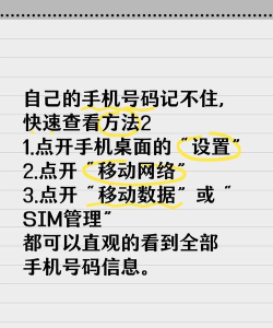 手机怎么查串号,快速找到方法,避免操作失误 手机怎么查串号,快速找到方法,避免操作失误